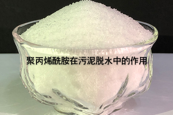 聚丙烯酰胺在污泥脱水中的作用