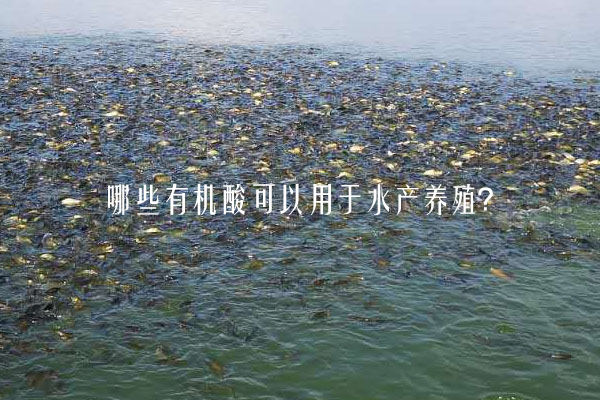 哪些有机酸可以用于水产养殖？