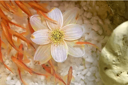 树脂画，渗透剂