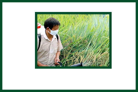 农药乳化剂作用 农药乳化剂作用